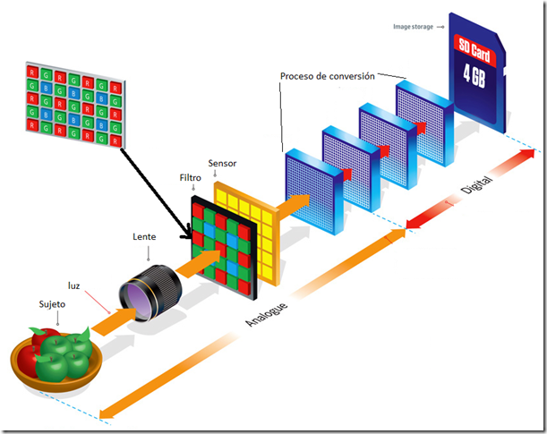 Componentes por los que pasa la luz en una cámara digital